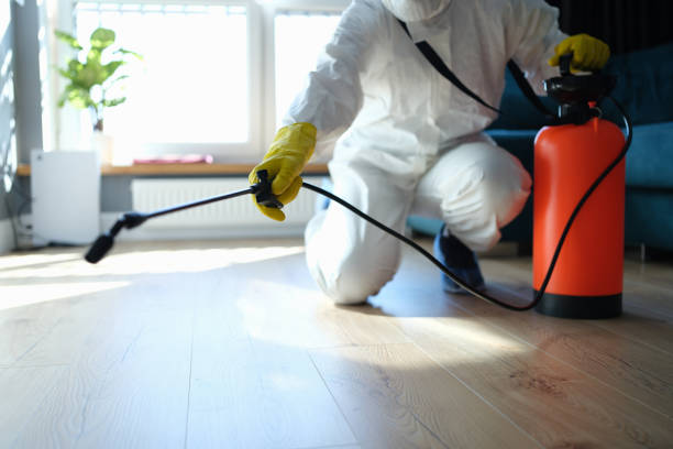 Best Flea Control Services  in Hustisford, WI